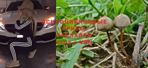 ПСИЛОЦИБИНОВЫЕ ГРИБЫ Аркадак