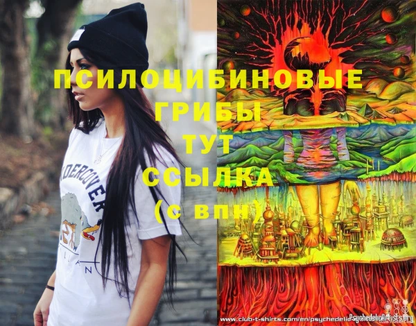 ПСИЛОЦИБИНОВЫЕ ГРИБЫ Аркадак
