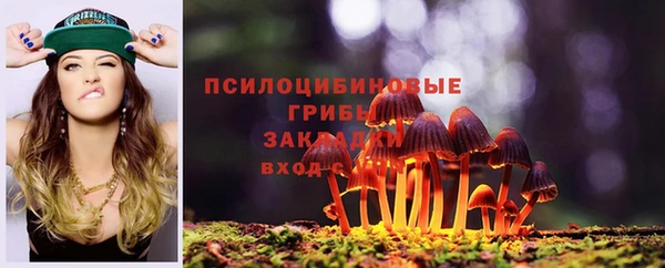 ПСИЛОЦИБИНОВЫЕ ГРИБЫ Аркадак