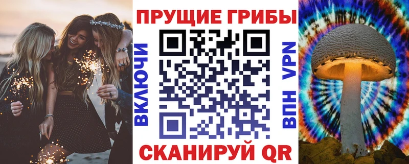 Псилоцибиновые грибы Magic Shrooms  OMG как зайти  Каргат 